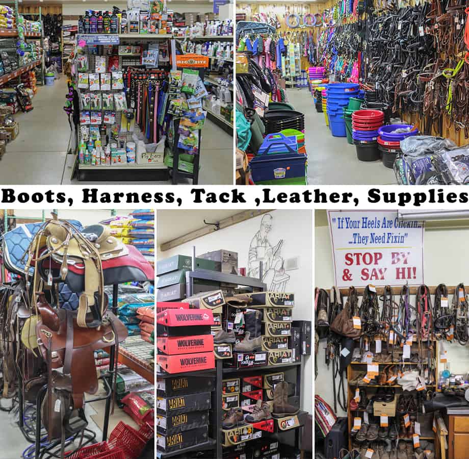 Collage of Leid Shoes & Saddlery's Products