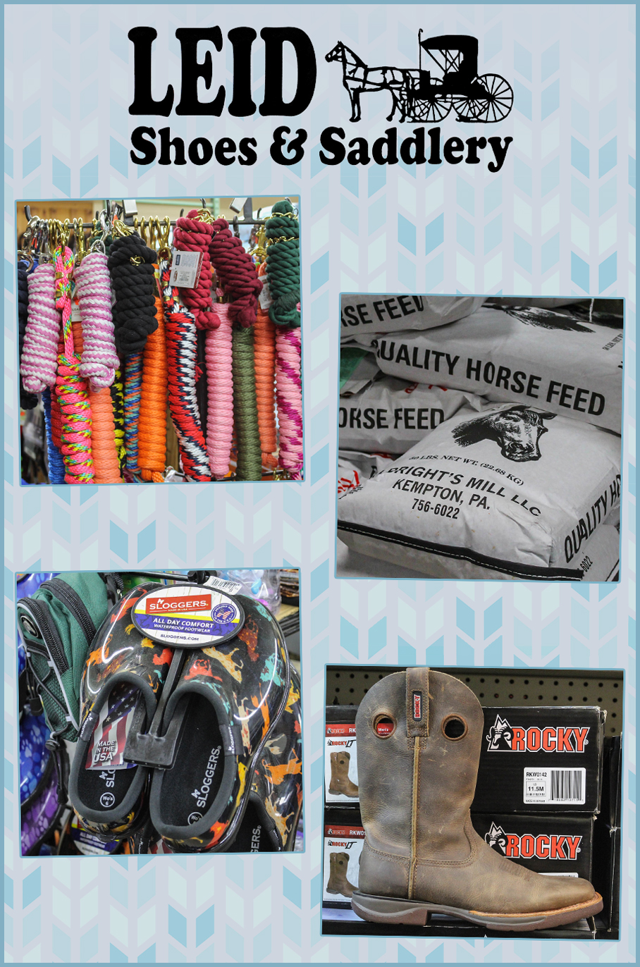 Collage of Leid Shoes & Saddlery's Products