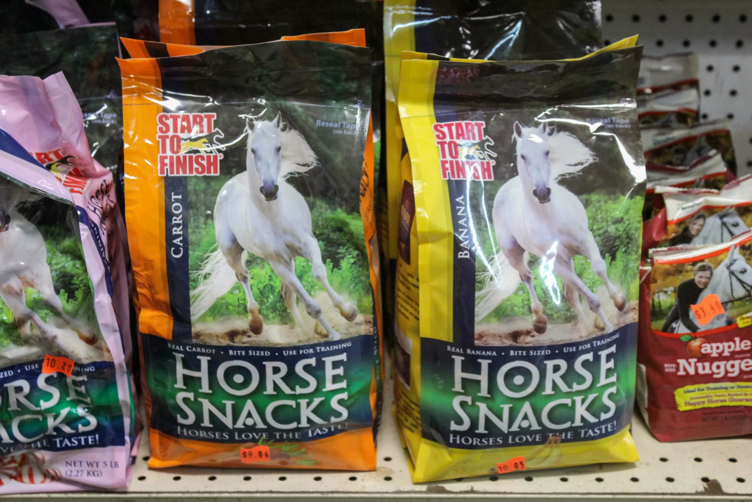 Leid Shoe & Saddlery Just Plain Business