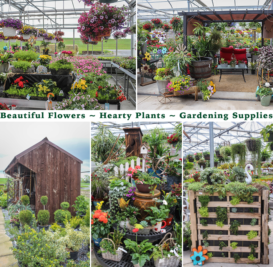 Richland Greenhouses Myerstown Lancaster County PA Collage of Richland Greenhouses's Products