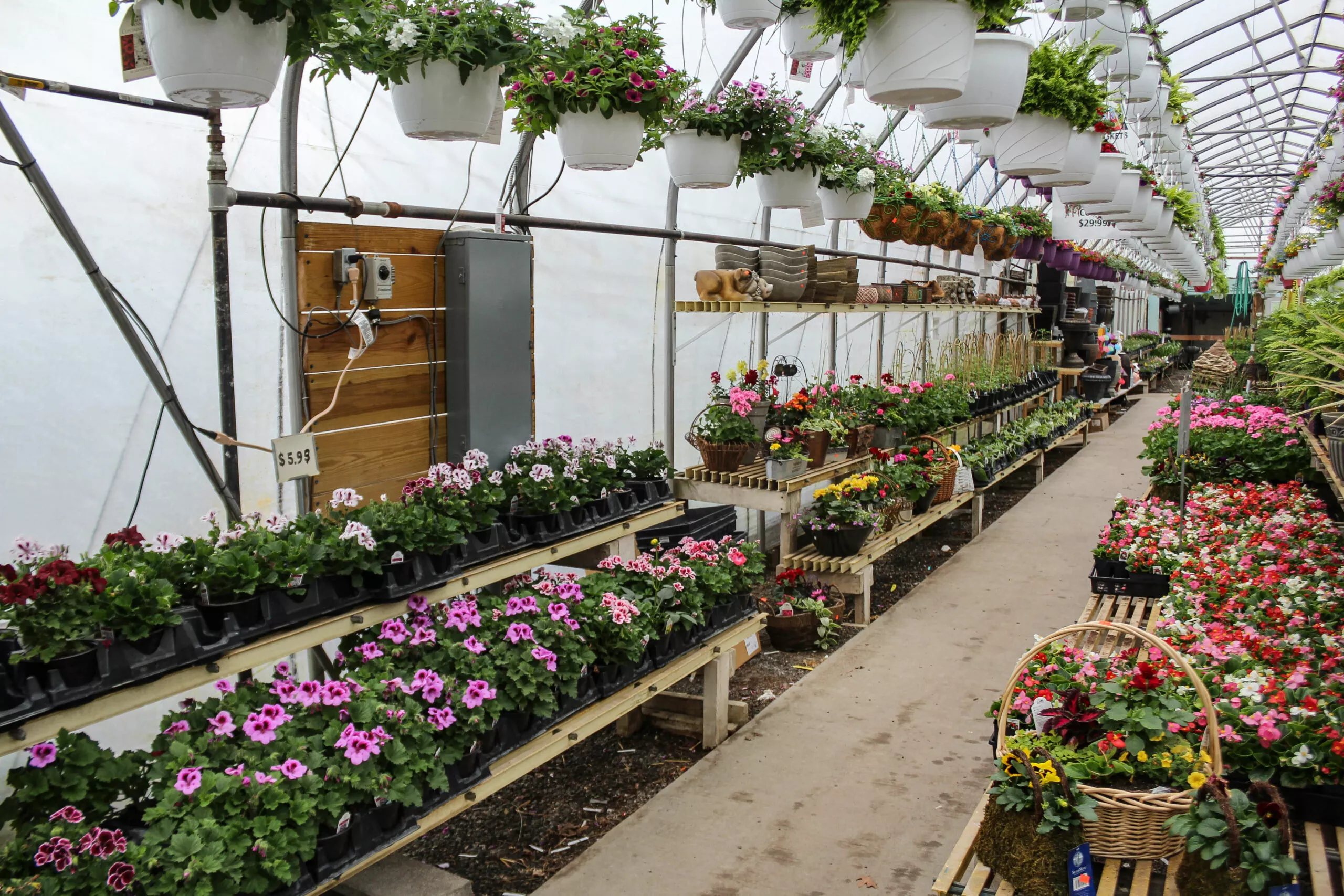 Montour Farm Market Just Plain Business