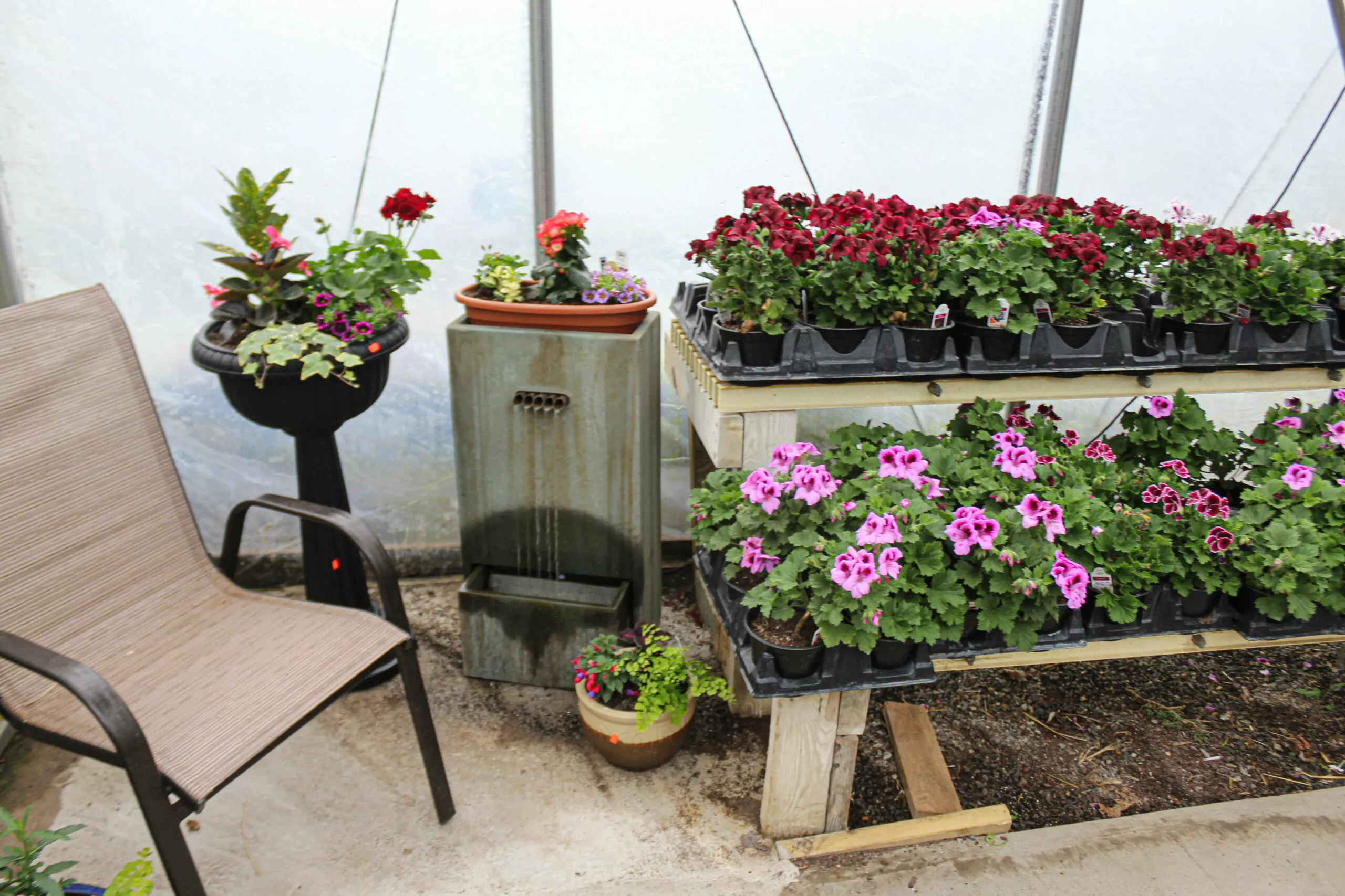 Montour Farm Market Just Plain Business