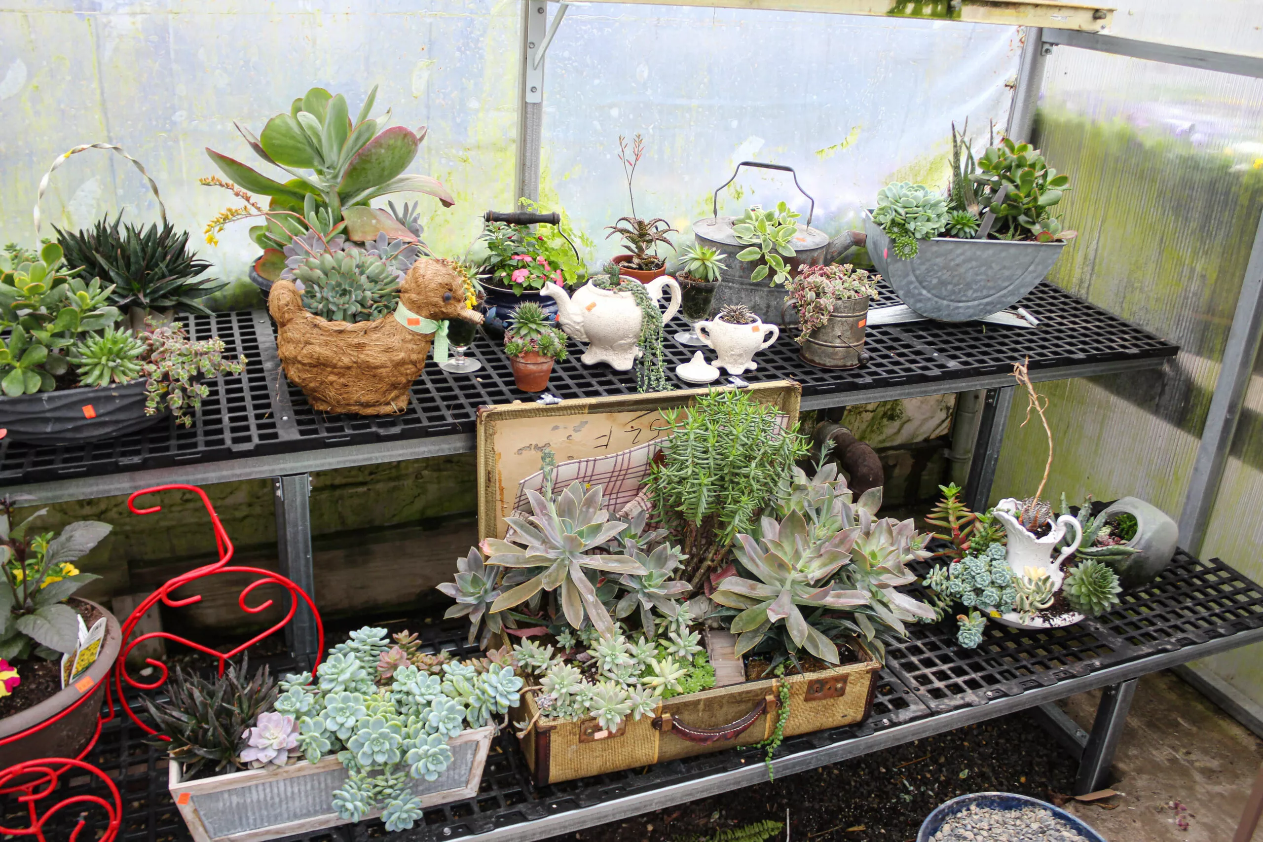 Montour Farm Market Just Plain Business