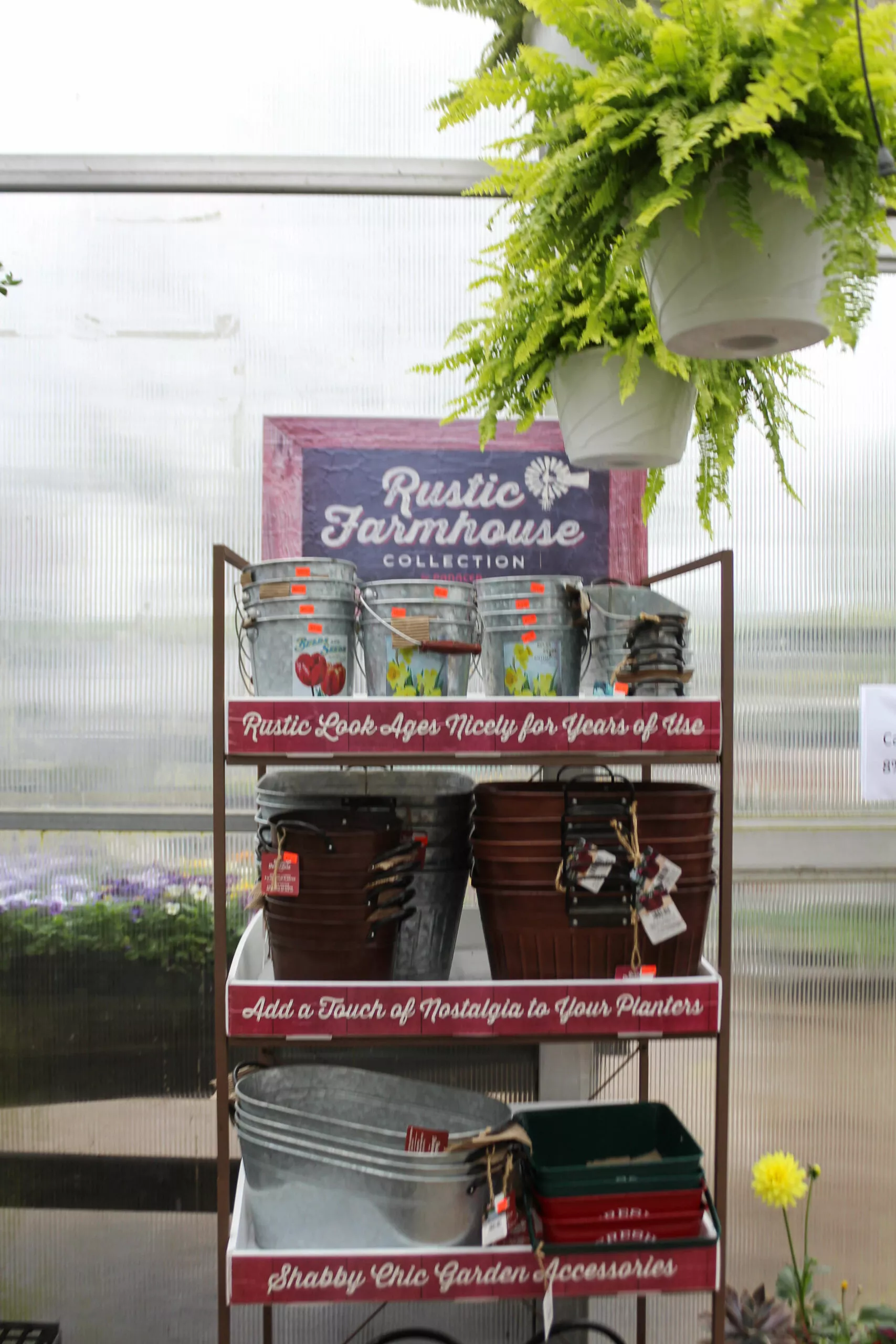 Montour Farm Market Just Plain Business