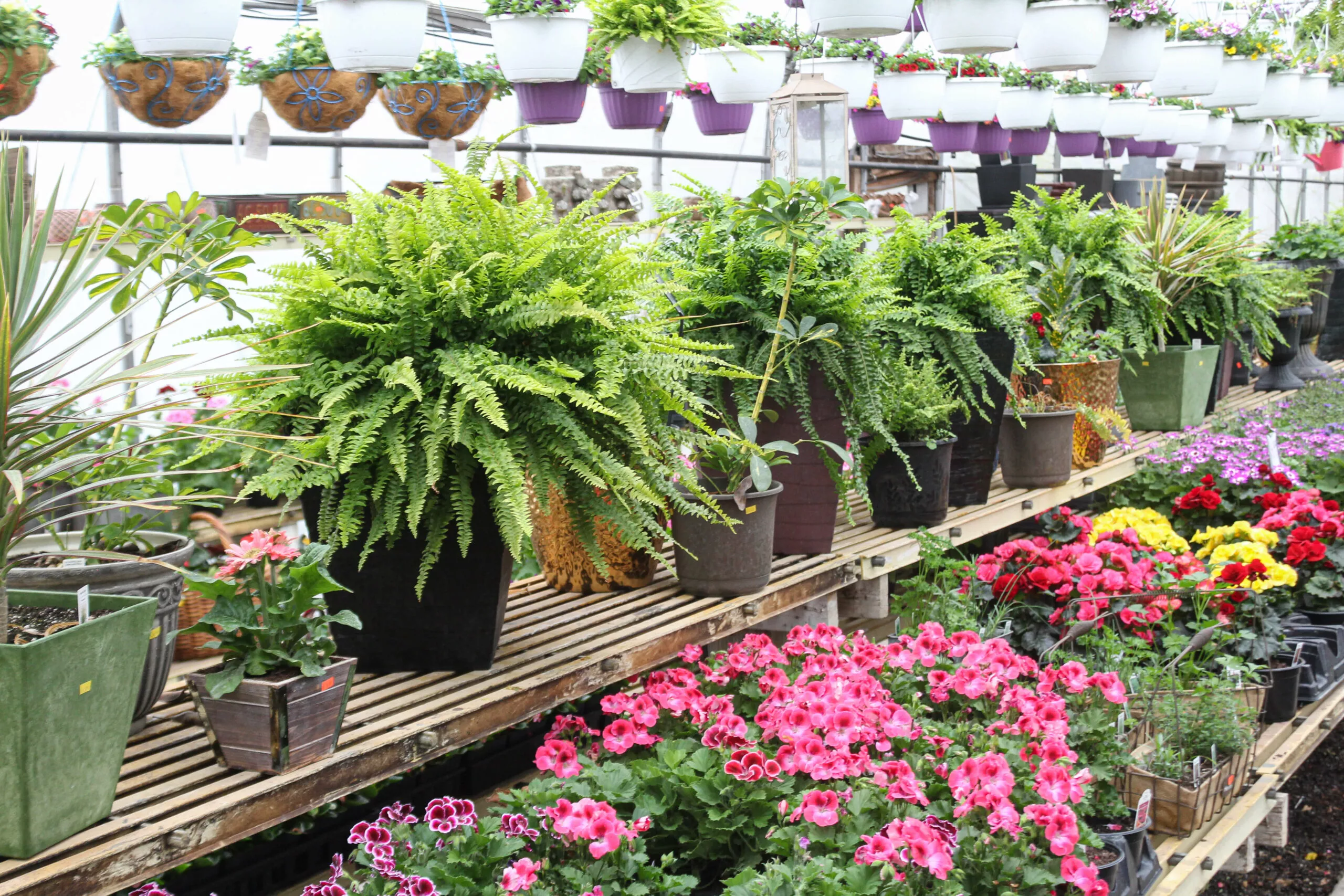 Montour Farm Market Just Plain Business