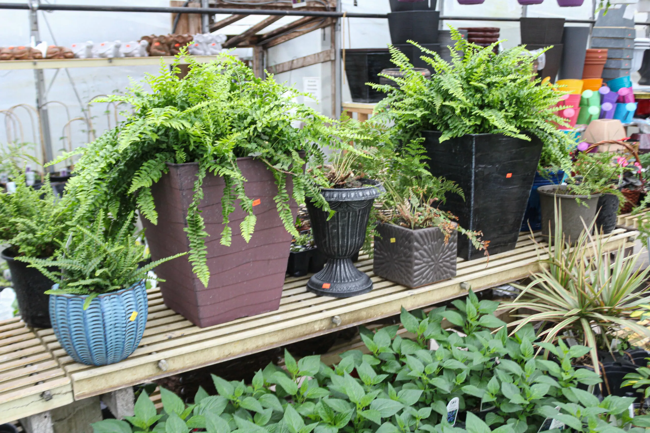 Montour Farm Market Just Plain Business