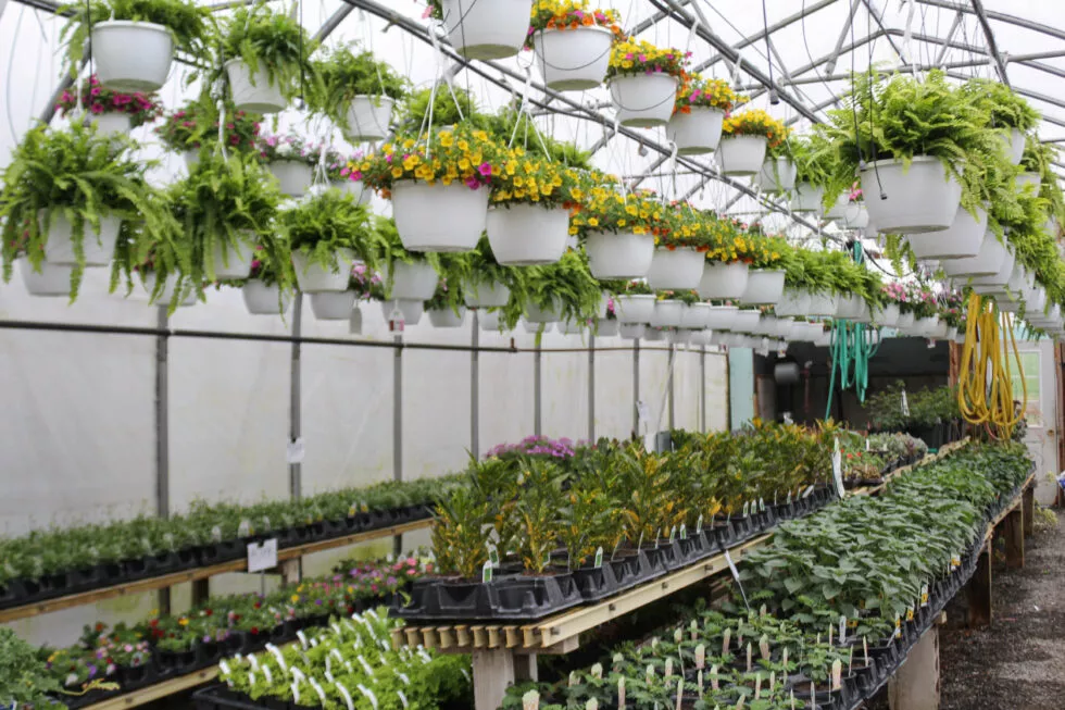 Montour Farm Market Just Plain Business