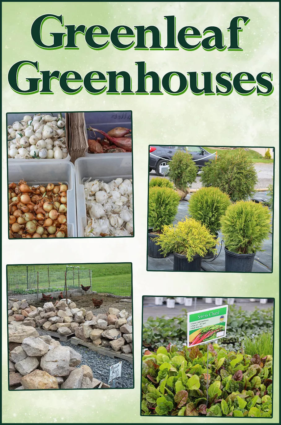 Greenleaf Greenhouse Danville PA