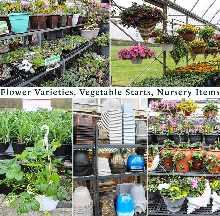 Collage of Greenleaf Greenhouses' Products