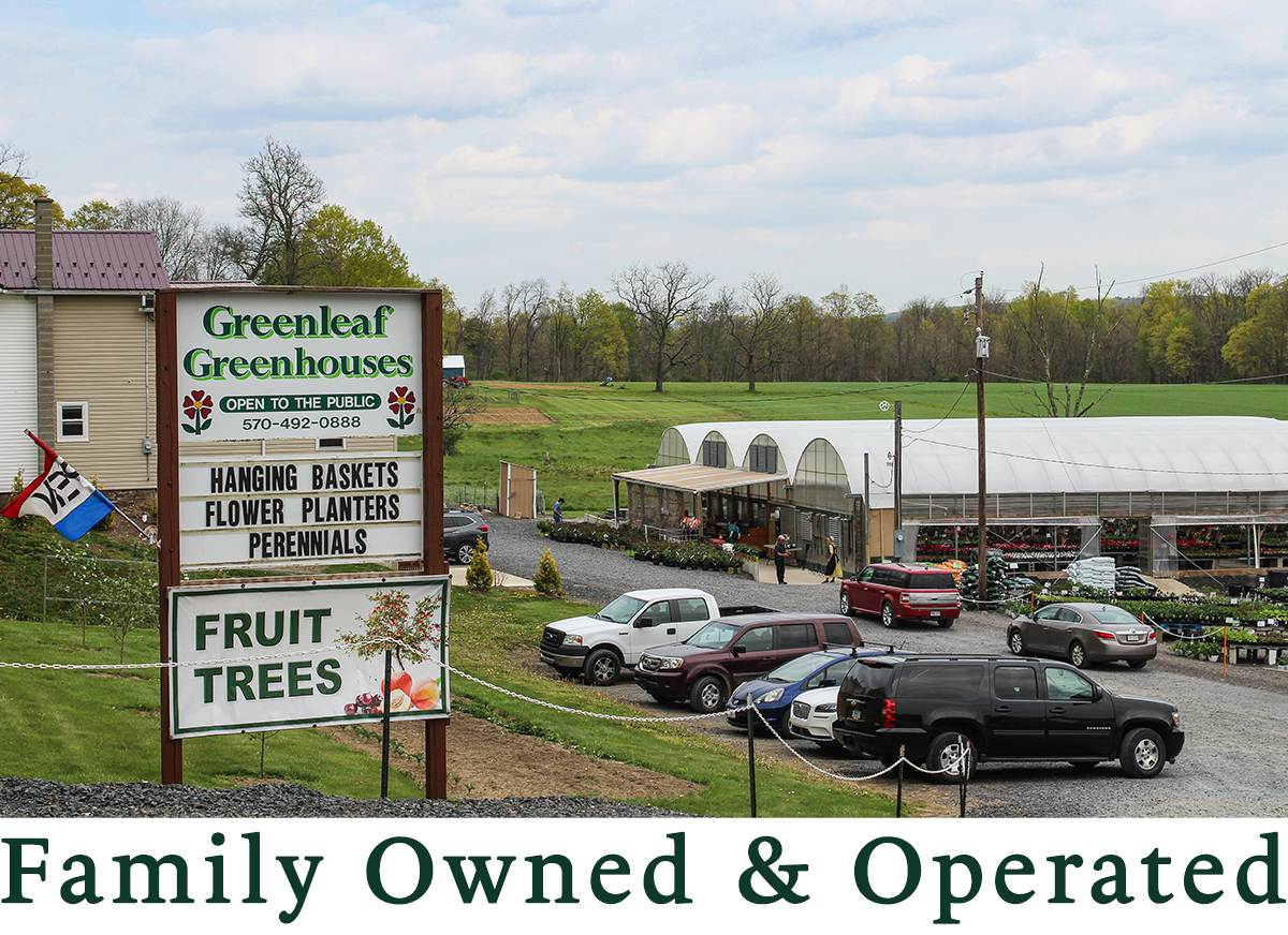 Greenleaf Greenhouses' Location