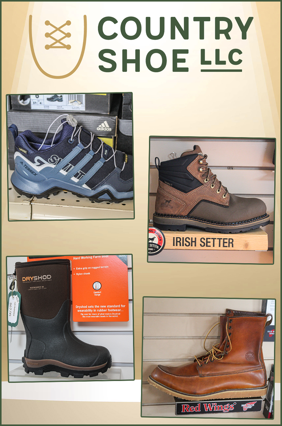 Country Shoe Shop - Just Plain Business