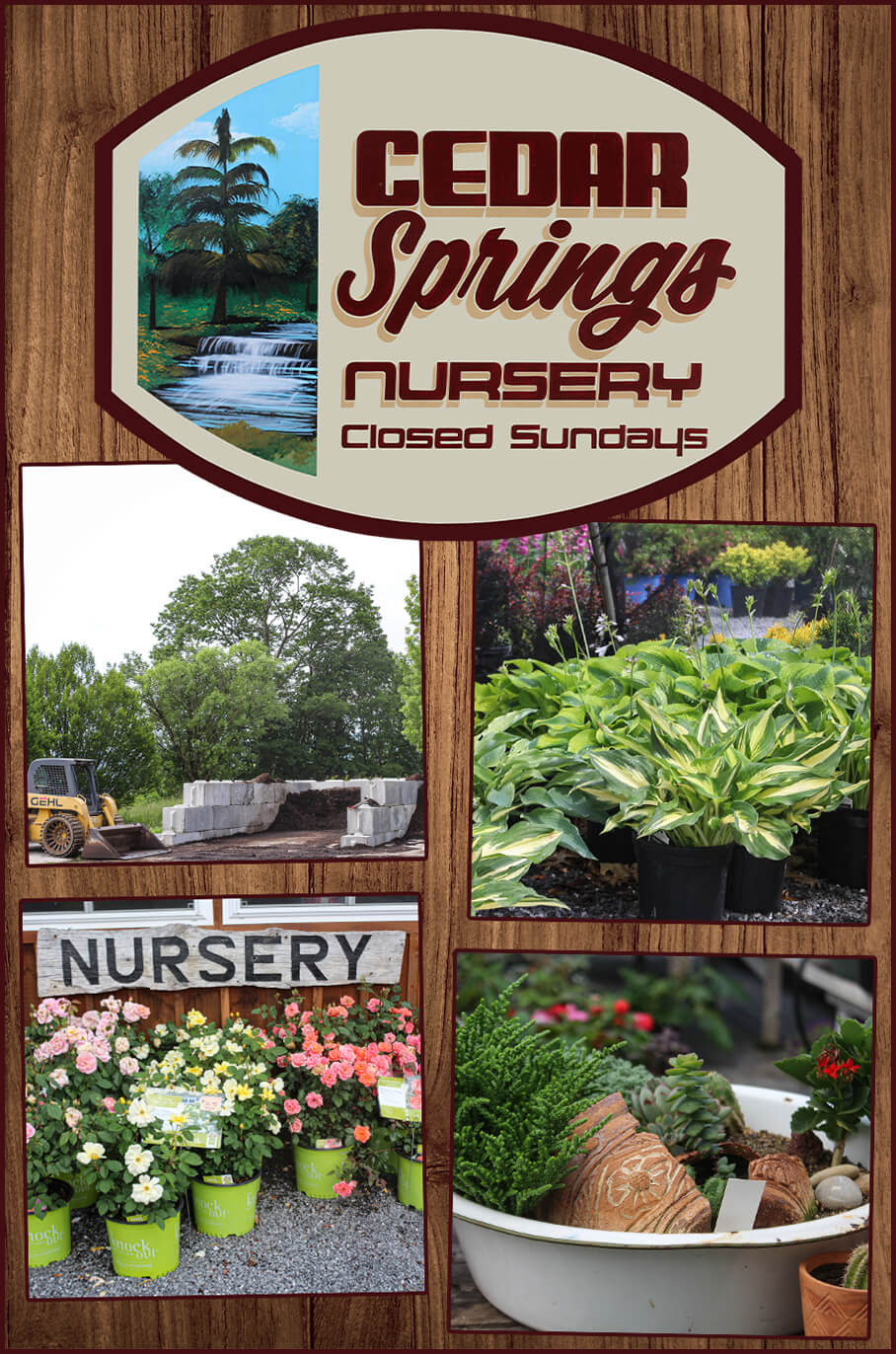 Collage of Cedar Springs Nursery's Products