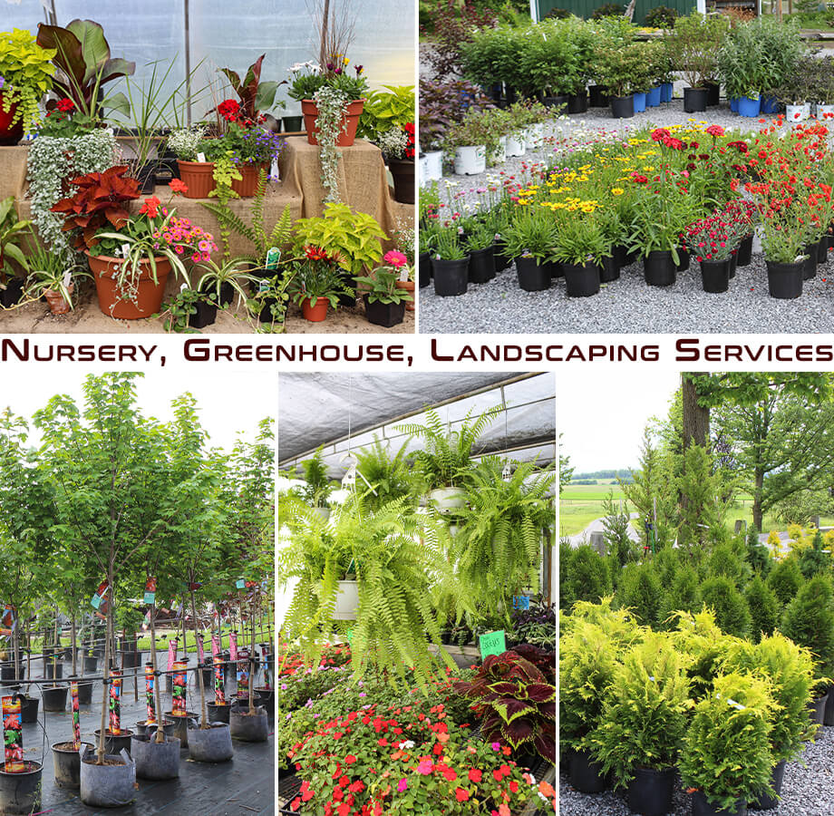 Collage of Cedar Springs Nursery's Products