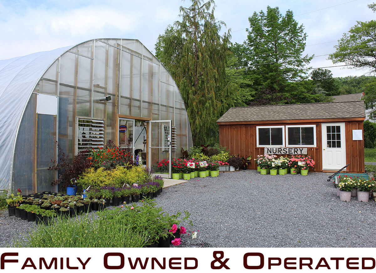 Cedar Springs Nursery's Greenhouse