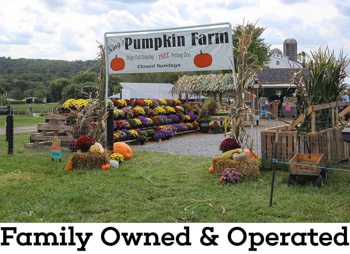 King's Pumpkin Farm's Location