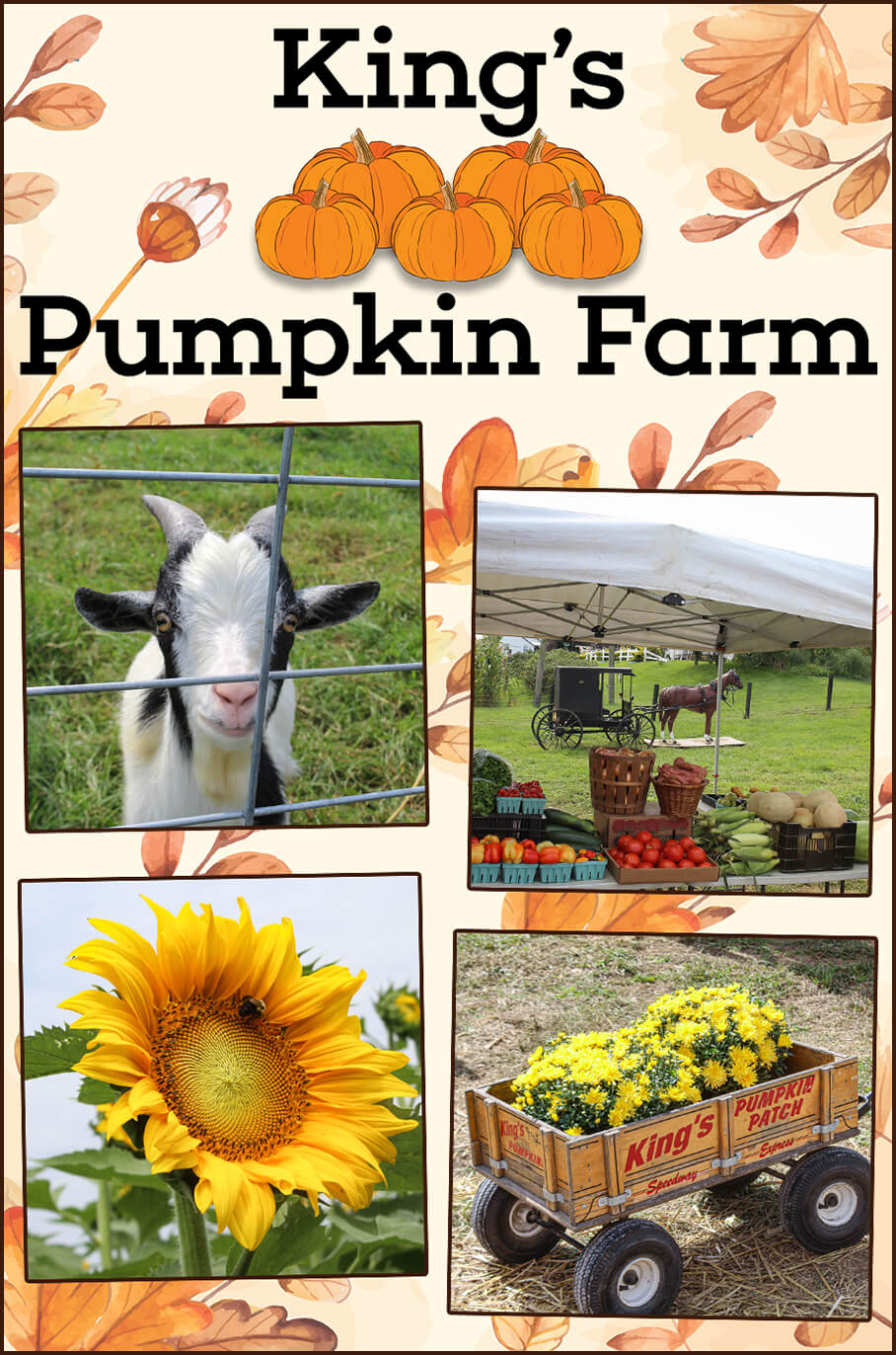 Collage of King's Pumpkin Farm's Location