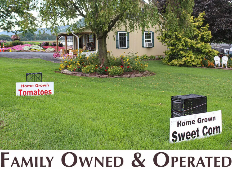 Stauffer's Produce Farm & Greenhouse Just Plain Business