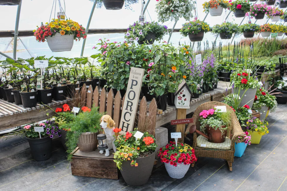 Stauffer's Produce Farm & Greenhouse Just Plain Business