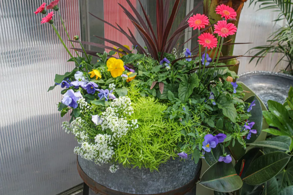 Stauffer's Produce Farm & Greenhouse Just Plain Business