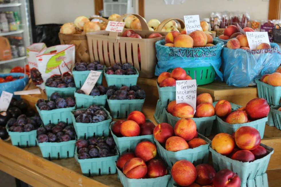 Stauffer's Produce Farm & Greenhouse Just Plain Business