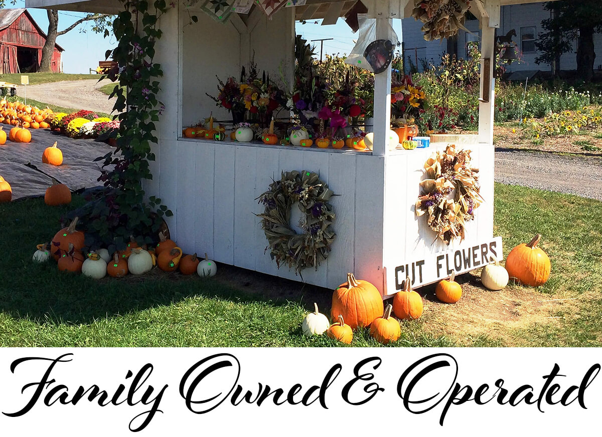 Roadside Stand Featuring Breezy Acre Farm Flower Shop's Floral Arrangements