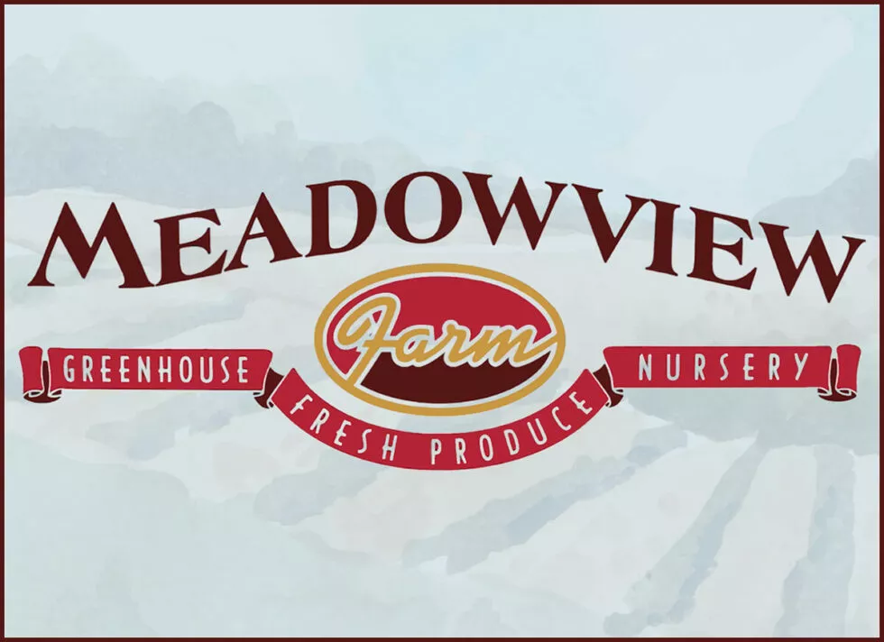 Meadow View Farm Just Plain Business