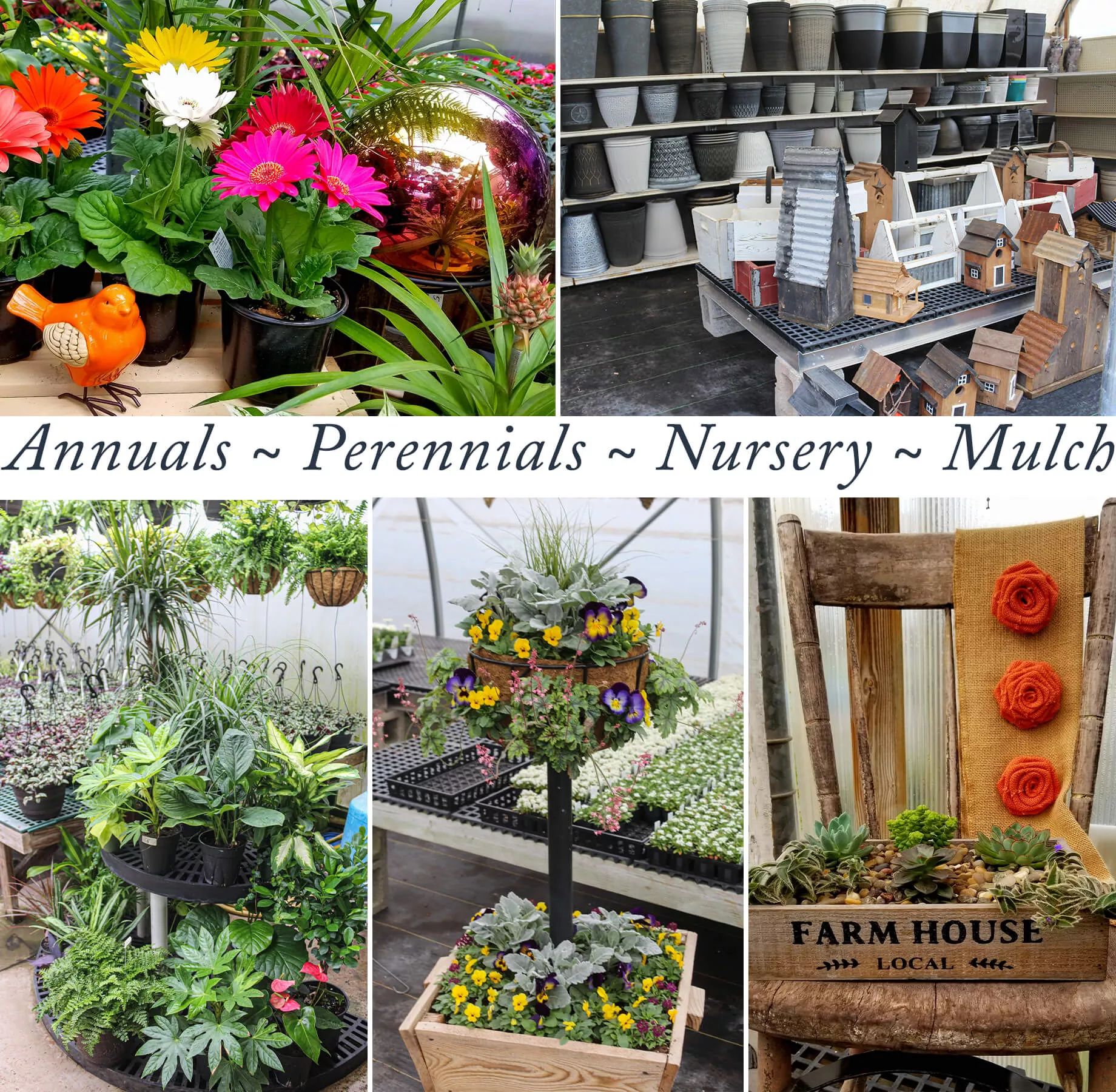 Brookside Acres Greenhouse Mifflinburg PA Collage Featuring Brookside Acres Greenhouse's Products