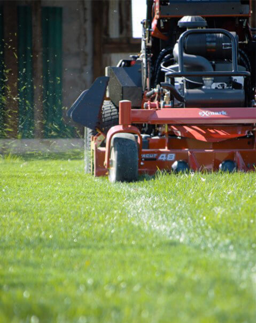 Jarmon Lawn Care