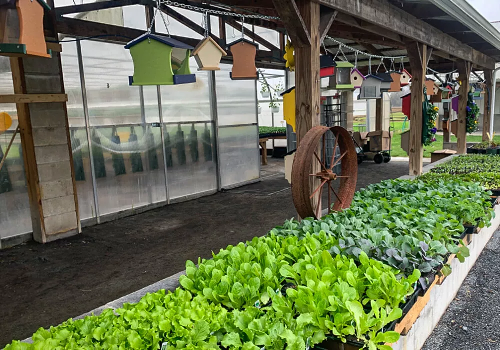 Yoder's Greenhouse of Delaware Just Plain Business