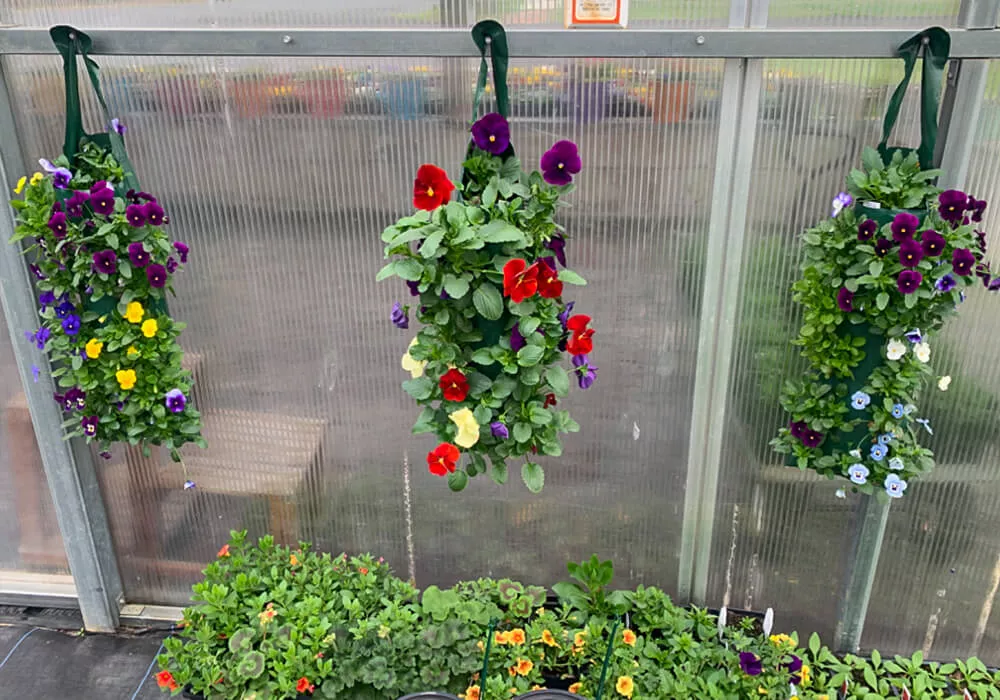 Yoder's Greenhouse of Delaware Just Plain Business