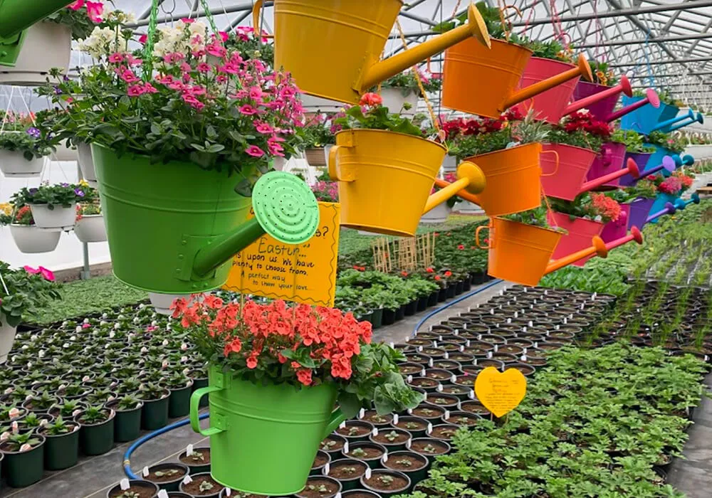 Yoder's Greenhouse of Delaware Just Plain Business