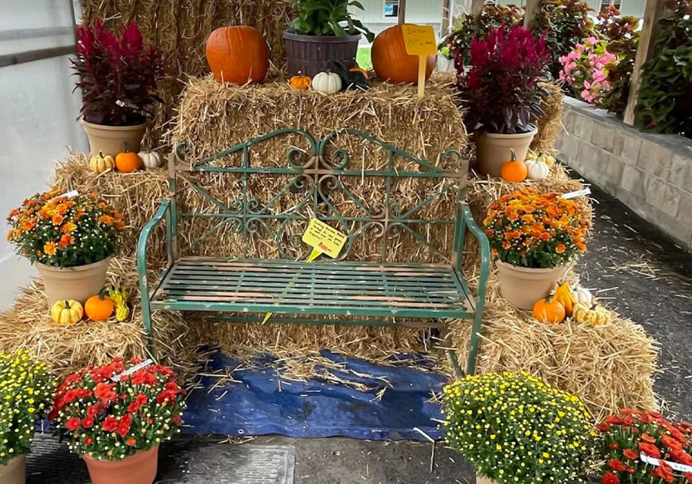 Yoder's Greenhouse of Delaware Just Plain Business