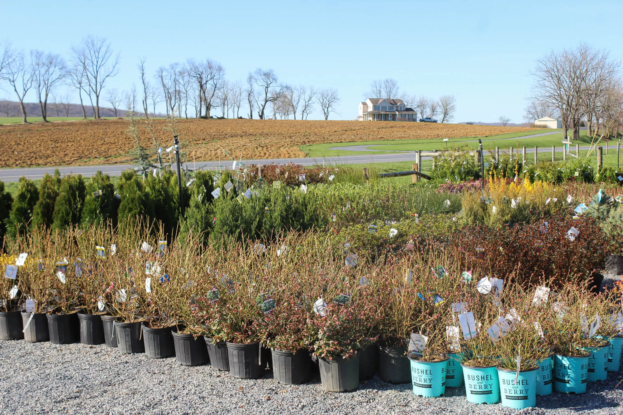 Burkholder's Farm Fresh Produce Just Plain Business