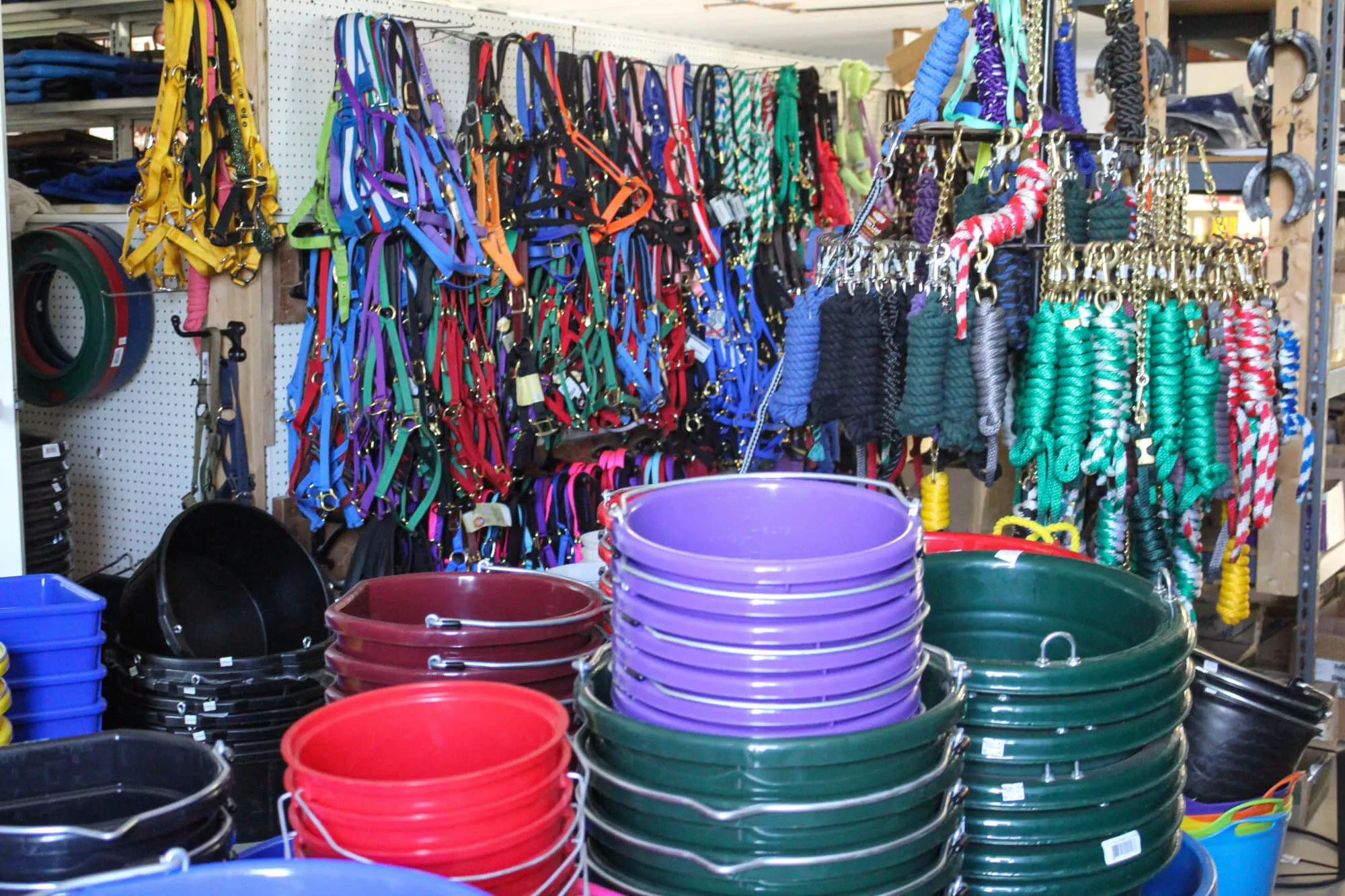 Mast's Harness Shop Just Plain Business