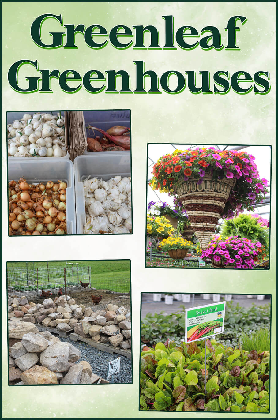 Collage of Greenleaf Greenhouses' Products