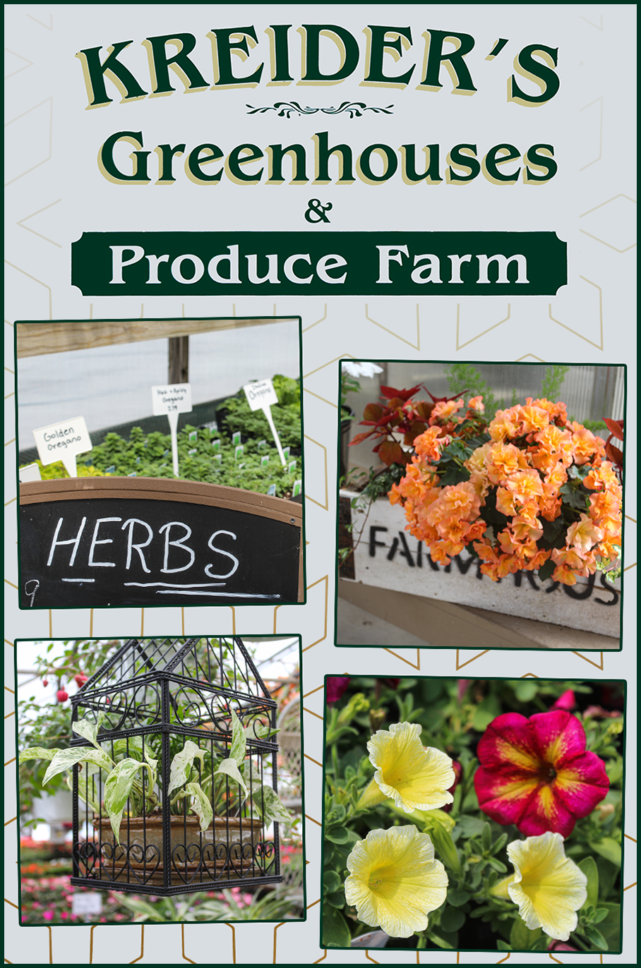 Kreider's Greenhouse Just Plain Business