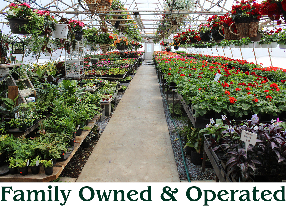 Kreider's Greenhouse's Interior