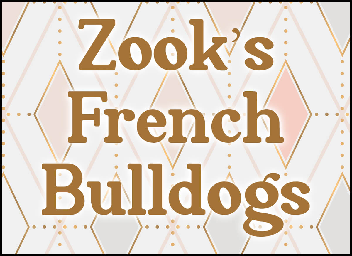 Zook's French Bulldogs Logo