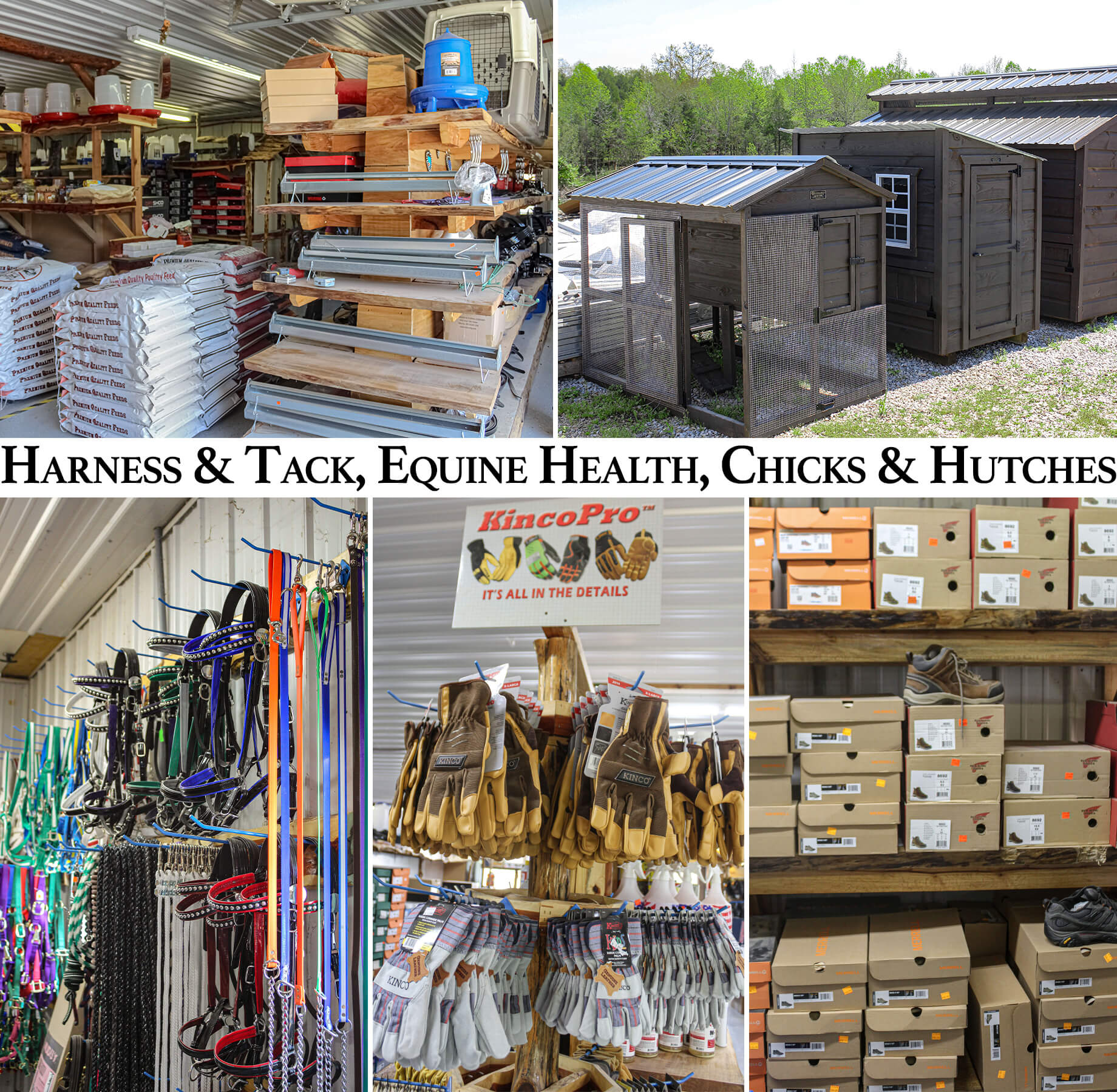 Collage of Cedar Valley Harness Shop's Products