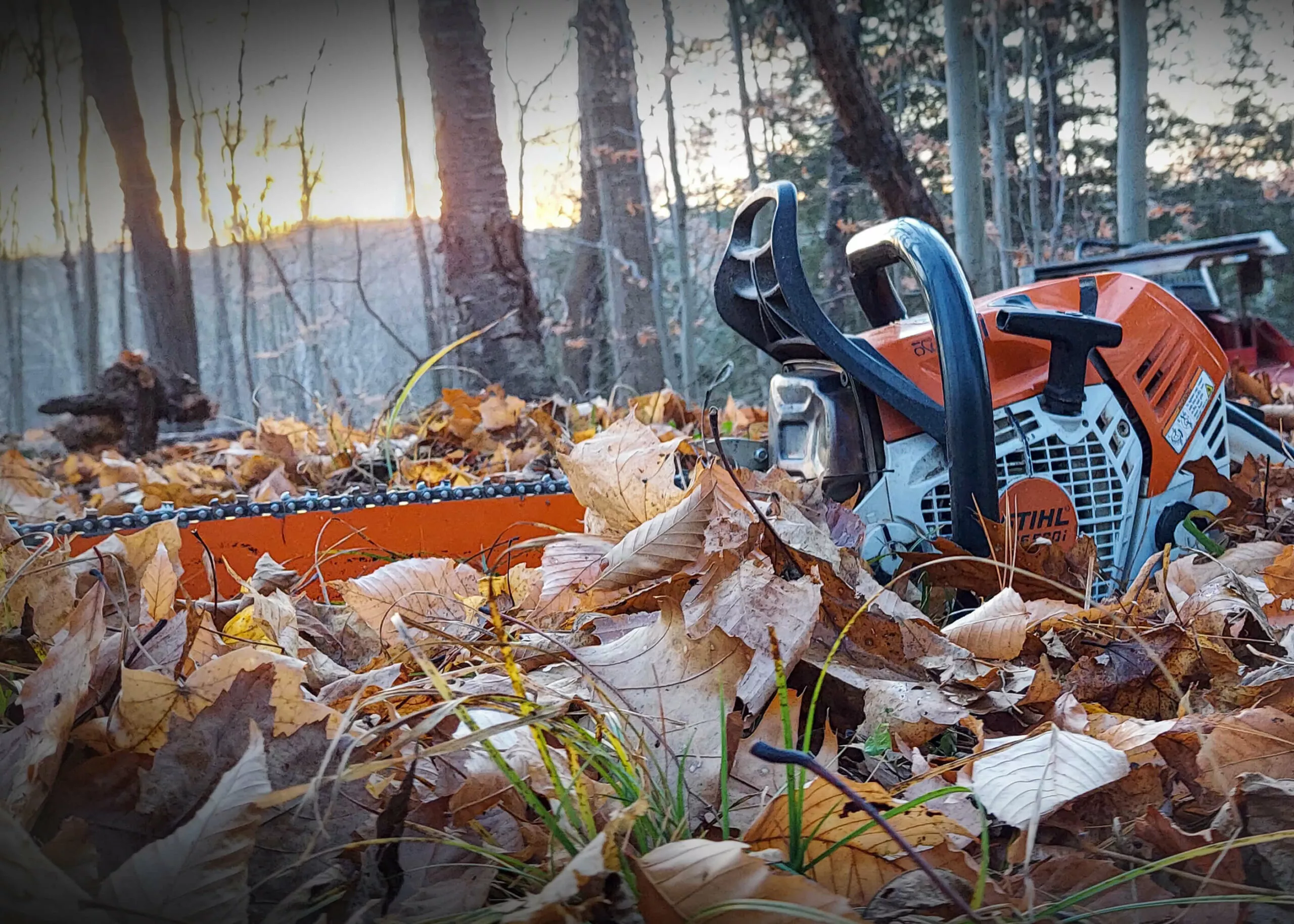 Lake Country Logging & Firewood Just Plain Business