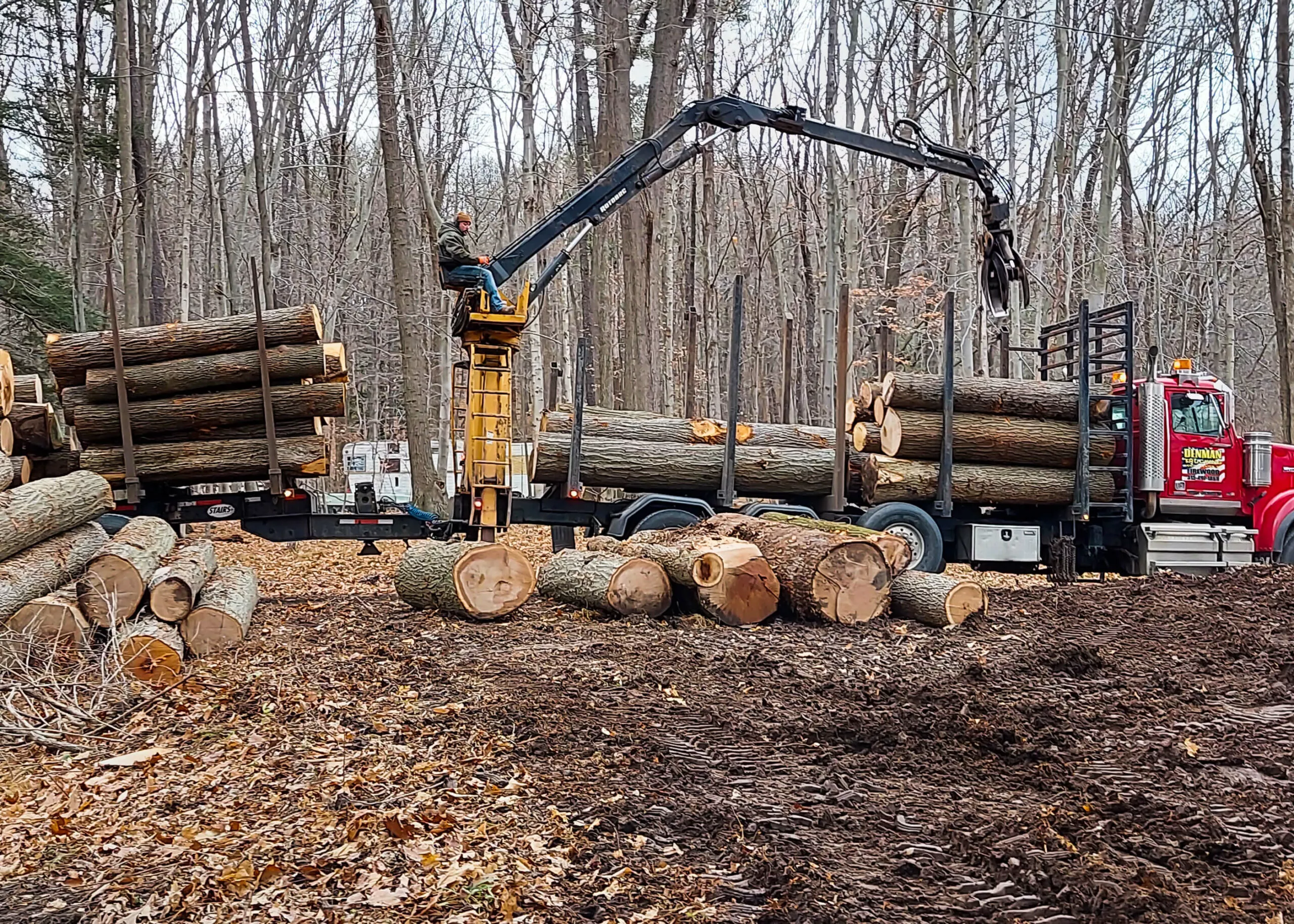Lake Country Logging & Firewood Just Plain Business