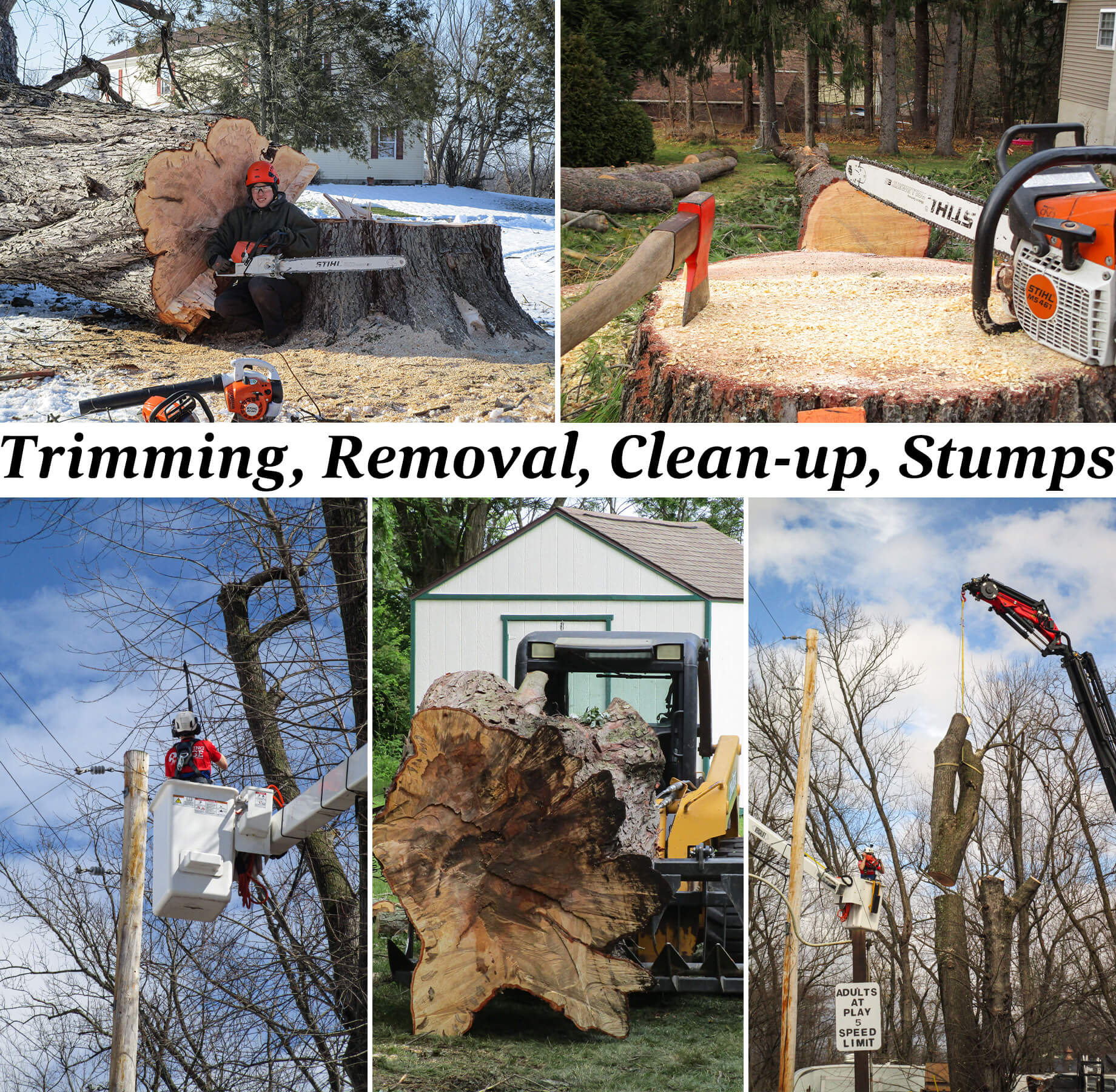 Penn Haven Tree Works Danville, PA Collage of Penn Haven Tree Works Projects