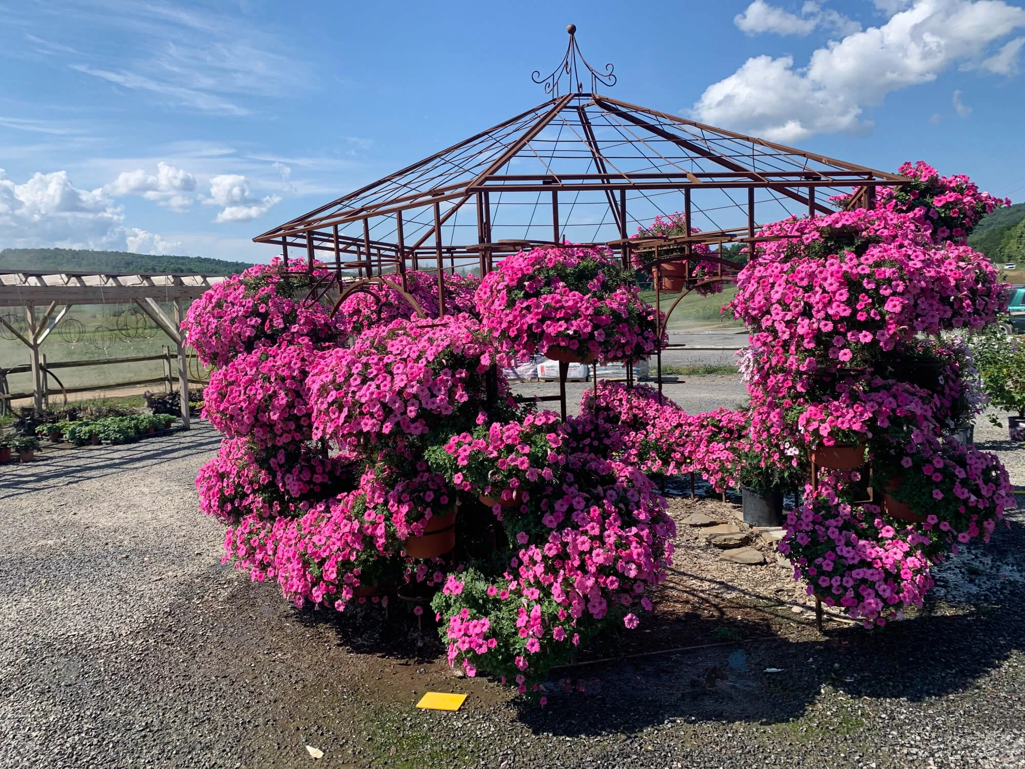 crystal-valley-produce-greenhouses-just-plain-business