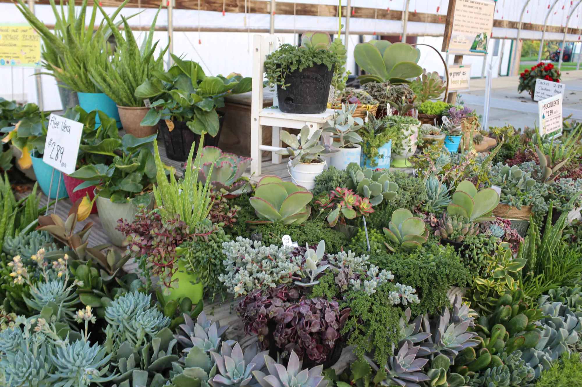 Country Side Nursery Just Plain Business