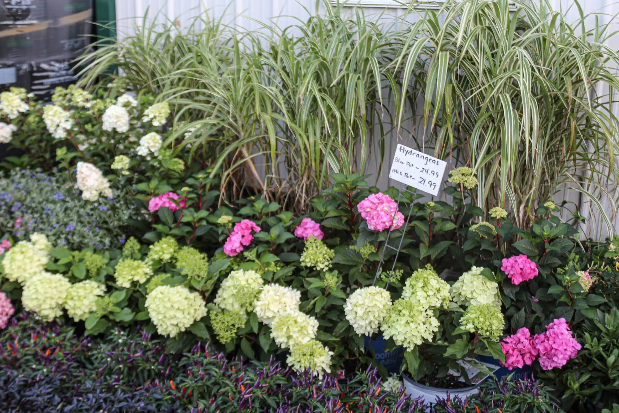 Country Side Nursery Just Plain Business