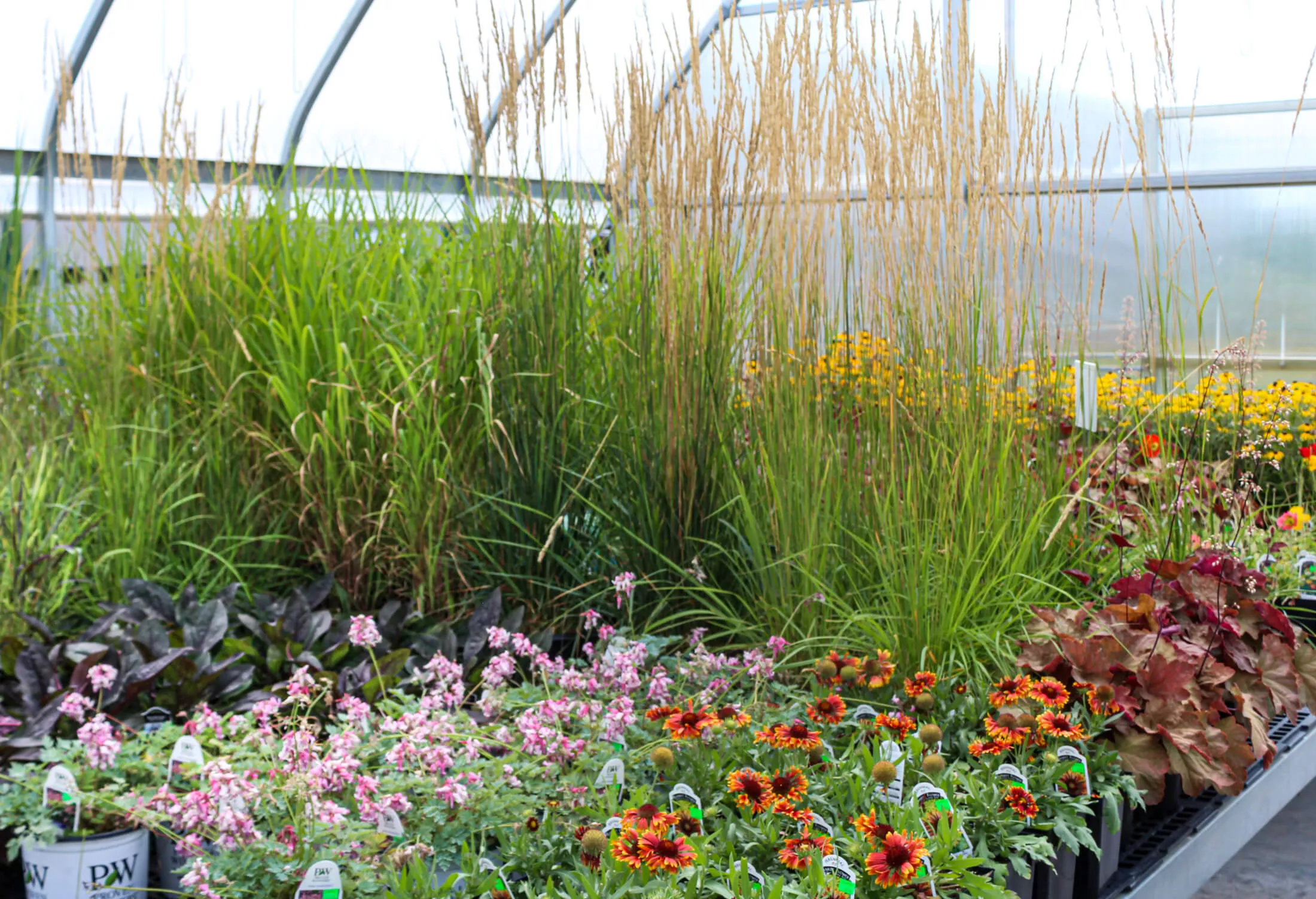 Sunrise Greenhouse Just Plain Business