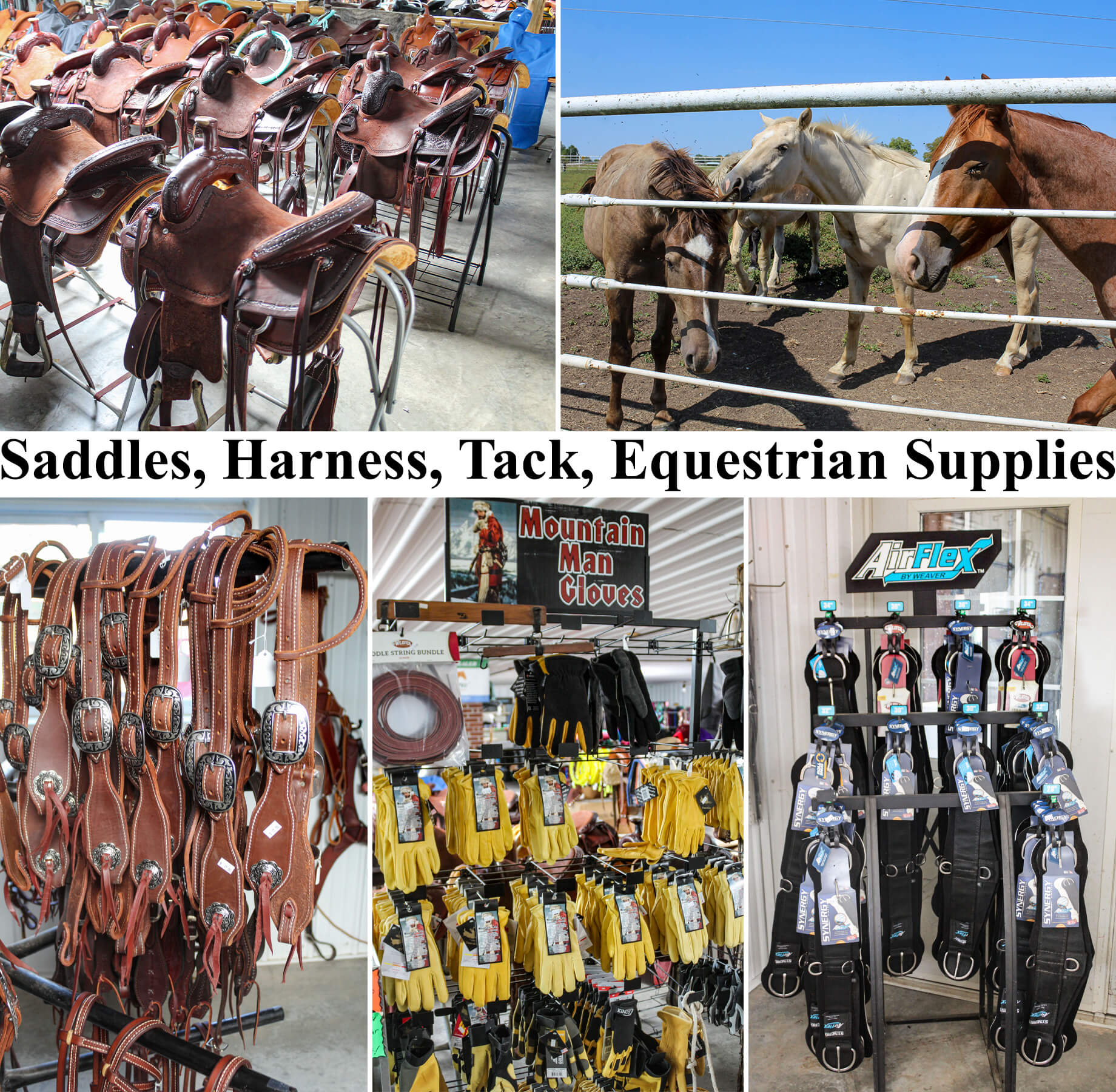 Collage of Jamesport Harness Supplies' Products 