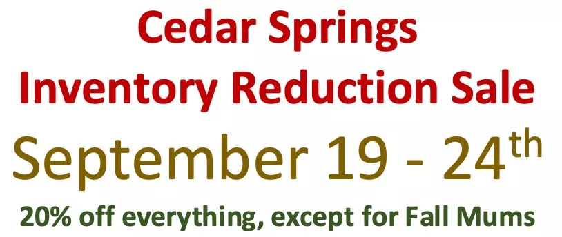 Cedar Springs Nursery New Enterprise PA
