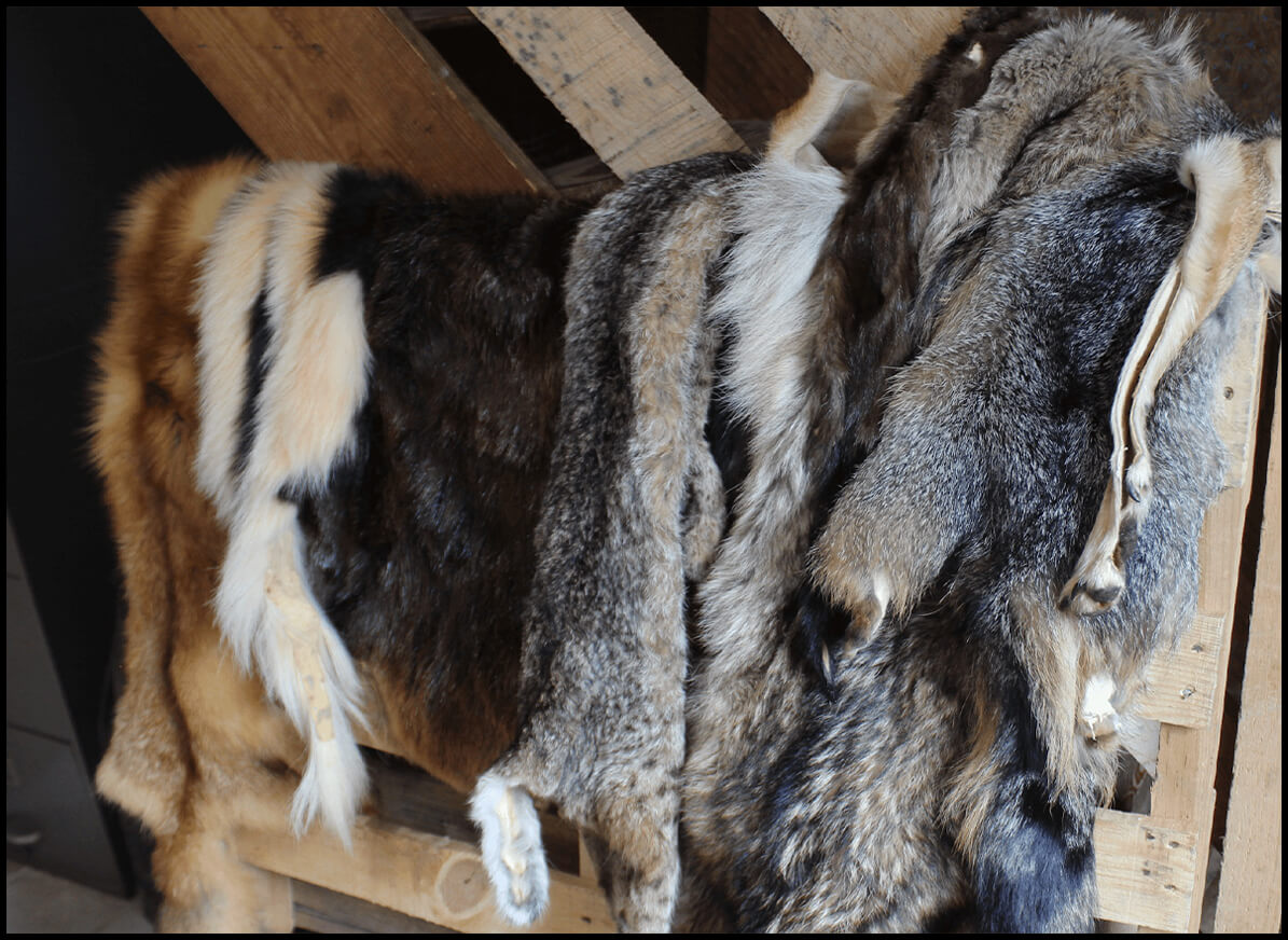 Assorted Pelts from Center Field Tannery