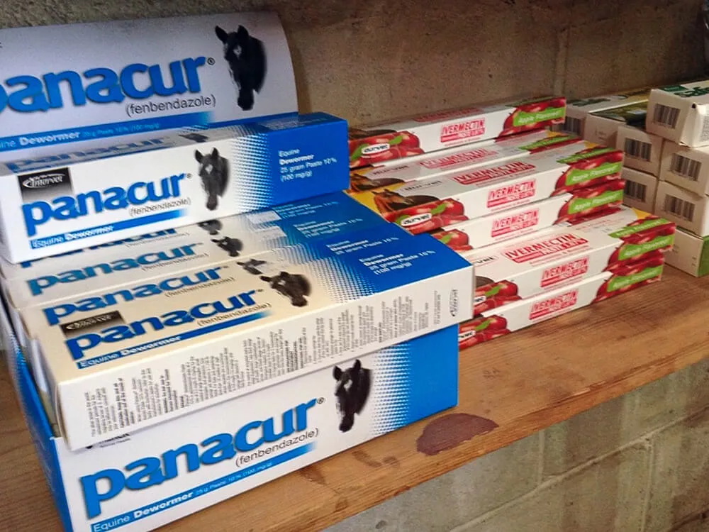 Penchem Tack Store Just Plain Business